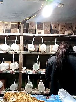 AnHa19 online show from 03-14-26, 09:59