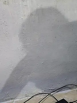 umashreetamil online show from 09-26-25, 01:48