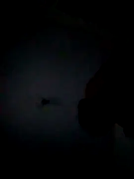 Snapshot of Ramirez4209 chatting on 11-05-25, 08:14 Ramirez4209 online show from 11-05-25, 08:14