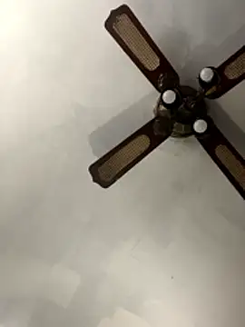 SucculentSexiness0 online show from 03-12-26, 04:24