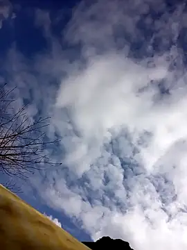 Snapshot of tcm-cute chatting on 10-23-25, 03:06 tcm-cute online show from 10-23-25, 03:06