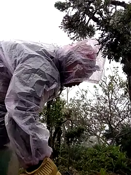 Snapshot of tcm-cute chatting on 11-03-25, 08:04 tcm-cute online show from 11-03-25, 08:04