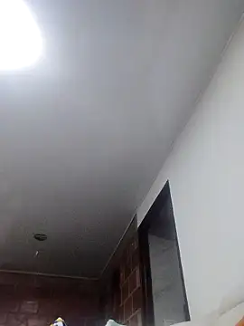 Perropa online show from 03-14-26, 01:23