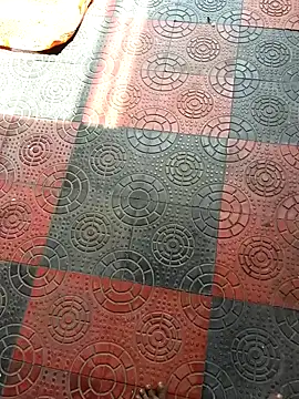 Telugu coupul online show from 10-11-25, 06:01