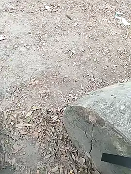 Dasdhon online show from 11-18-25, 10:20