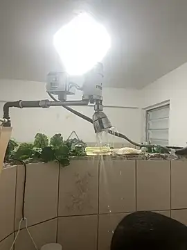 YadielPublic online show from 04-10-26, 12:49