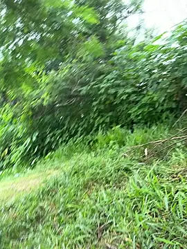 magraocam online show from 03-19-26, 02:21