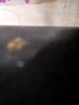 Snapshot of Jeremycle chatting on 10-25-25, 11:21 Jeremycle online show from 10-25-25, 11:21