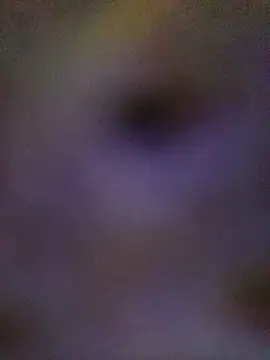 Snapshot of sadhna200 chatting on 10-05-25, 06:39 sadhna200 online show from 10-05-25, 06:39