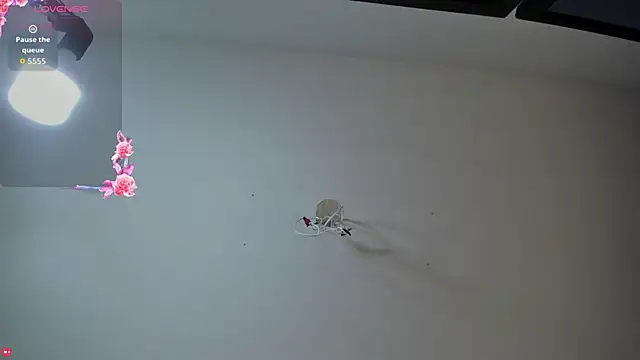 Ashleymorgan vc online show from 09-16-25, 08:21