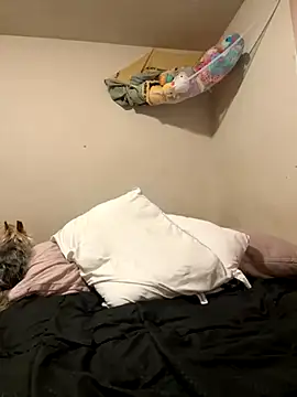 Snapshot of VanessaRose5362 chatting on 10-14-25, 02:29 VanessaRose5362 online show from 10-14-25, 02:29