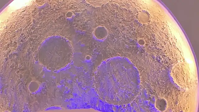  Noah19 online show from 10-16-25, 07:04