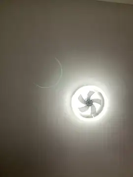 lionr0660 online show from 02-25-26, 08:40