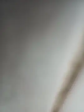 Snapshot of Jobson40 chatting on 10-16-25, 12:11 Jobson40 online show from 10-16-25, 12:11