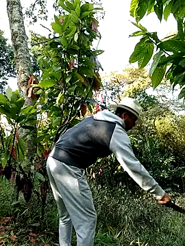 Snapshot of AlphaAlterX chatting on 02-28-26, 01:23 AlphaAlterX online show from 02-28-26, 01:23