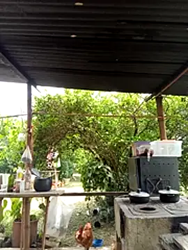 Snapshot of AlphaAlterX chatting on 03-11-26, 06:14 AlphaAlterX online show from 03-11-26, 06:14