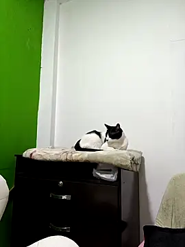 Snapshot of kate_rosse02 chatting on 02-11-26, 08:41 kate rosse02 online show from 02-11-26, 08:41