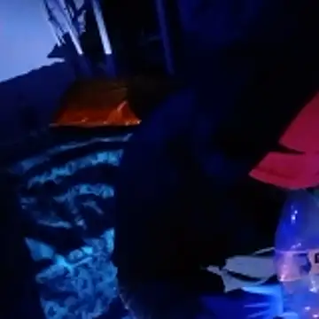 Snapshot of johnboones10 chatting on 02-22-26, 05:00 johnboones10 online show from 02-22-26, 05:00