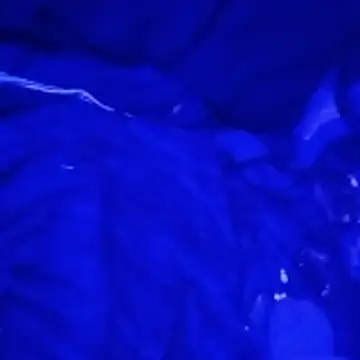 Snapshot of johnboones10 chatting on 03-04-26, 09:15 johnboones10 online show from 03-04-26, 09:15