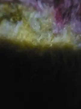 Bokihot online show from 06-27-26, 12:04