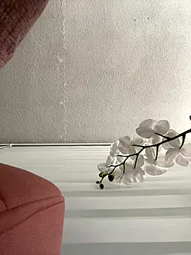 Adele Pinkk online show from 11-03-25, 11:33