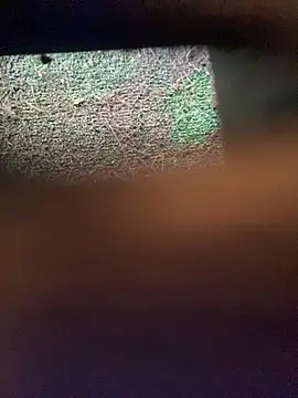 Adele Pinkk online show from 11-12-25, 12:16