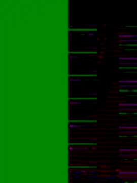 bappyandbanulove online show from 11-23-25, 06:19