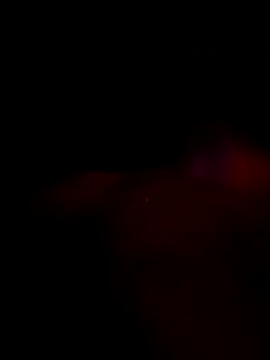 whalens online show from 11-28-25, 08:17