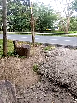 charlotte dante212 online show from 11-23-25, 09:25