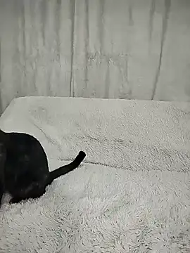 Layla fontainex x online show from 09-29-25, 01:49