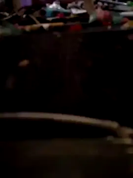 Snapshot of Bianomc1974 chatting on 11-08-25, 07:34 Bianomc1974 online show from 11-08-25, 07:34