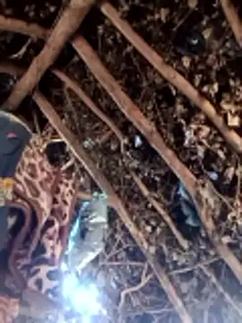 Hot rachnasexy online show from 03-09-26, 05:55