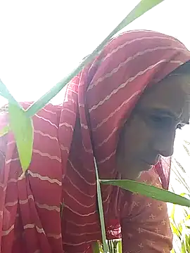 Jalebi bay online show from 02-11-26, 09:14