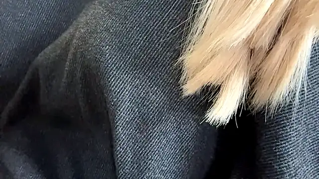 Sweet horizon online show from 09-19-25, 05:42