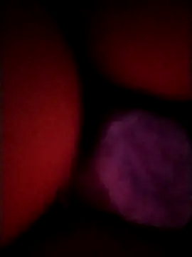 Snapshot of _tetas_92 chatting on 04-21-26, 01:53 tetas 92 online show from 04-21-26, 01:53