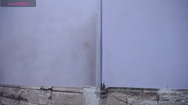 Bicky 24 online show from 02-25-26, 09:19