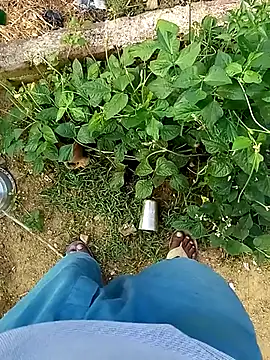 Rahul Razz online show from 10-21-25, 01:06