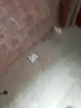 Rahul Razz online show from 10-23-25, 01:05