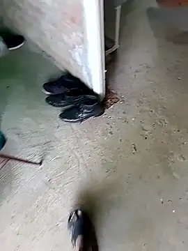 Rahul Razz online show from 11-08-25, 06:24