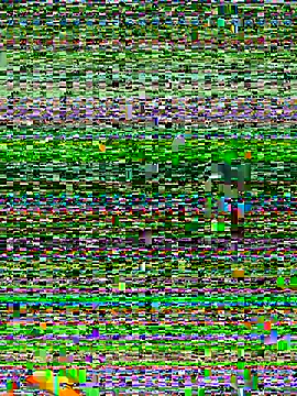 honey fern1 online show from 09-18-25, 03:41