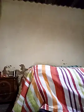 Snapshot of average_price chatting on 11-12-25, 04:13 average price online show from 11-12-25, 04:13