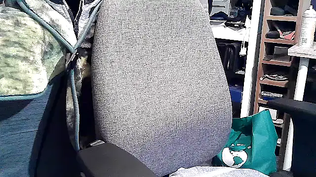 Snapshot of georgew62 chatting on 09-20-25, 11:50 georgew62 online show from 09-20-25, 11:50