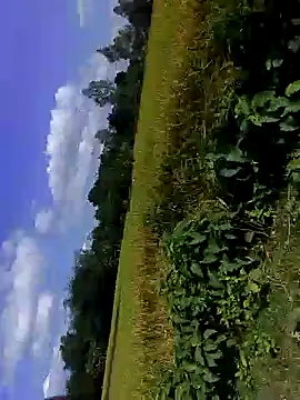 bigdaddyboy46 online show from 11-05-25, 07:30