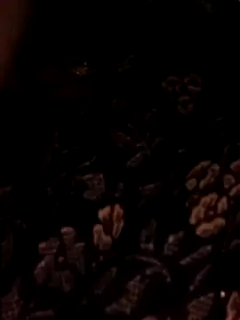 Bebby Doll online show from 02-03-26, 07:46