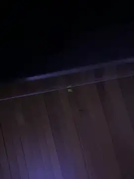 XBODTRIIPX online show from 04-07-26, 11:15