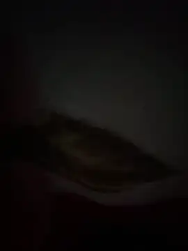 Snapshot of Flash356 chatting on 02-24-26, 09:13 Flash356 online show from 02-24-26, 09:13