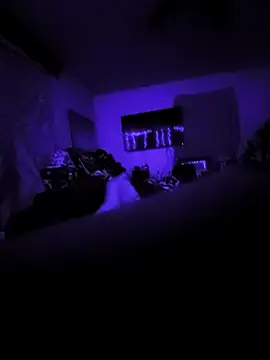 littlecockginger online show from 10-31-25, 10:16