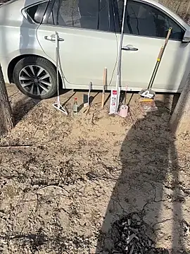 Fengbaby-555 online show from 02-03-26, 06:22