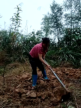 Snapshot of kemtuoi-sex chatting on 10-31-25, 08:37 kemtuoi-sex online show from 10-31-25, 08:37