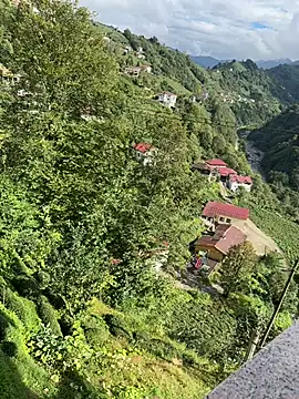 Snapshot of LAZ3R1 chatting on 10-21-25, 11:00 LAZ3R1 online show from 10-21-25, 11:00